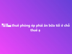 Ảnh bìa bài viết 941898