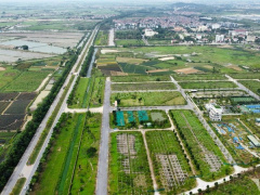 Ảnh bìa bài viết 942006