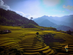 Ảnh bìa bài viết 941932
