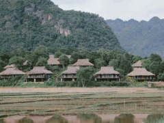 Ảnh bìa bài viết 942119