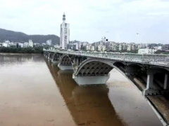 Ảnh bìa bài viết 942416