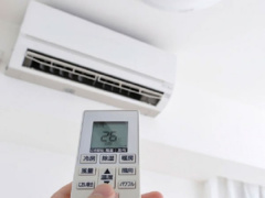 Ảnh bìa bài viết 942275