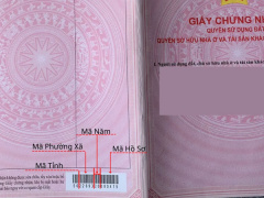 Ảnh bìa bài viết 942406