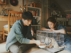 Ảnh bìa bài viết 942539