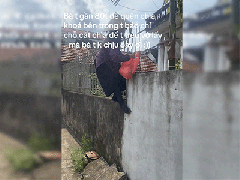 Đọc nhanh bài viết 942767