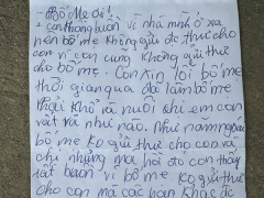 Ảnh bìa bài viết 942832