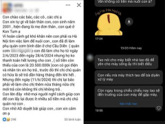 Ảnh bìa bài viết 942999
