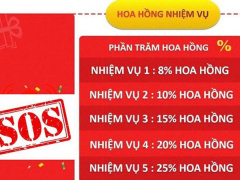 Ảnh bìa bài viết 943183
