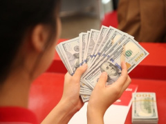 Ảnh bìa bài viết 943149