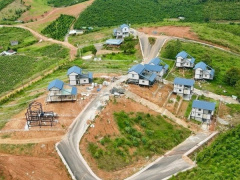 Ảnh bìa bài viết 943295