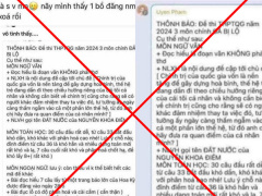 Ảnh bìa bài viết 943306