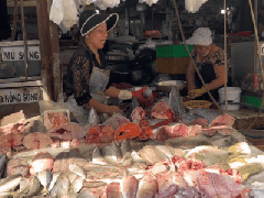 Ảnh bìa bài viết 943501