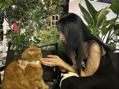 Ảnh bìa bài viết 943441