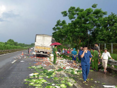 Ảnh bìa bài viết 943537