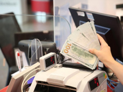 Ảnh bìa bài viết 943611
