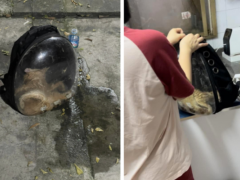 Ảnh bìa bài viết 943753