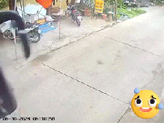 Ảnh bìa bài viết 943887