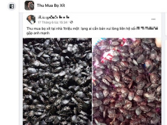 Ảnh bìa bài viết 944071