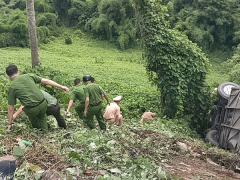 Ảnh bìa bài viết 944060