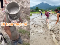 Ảnh bìa bài viết 944200