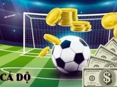 Ảnh bìa bài viết 944332