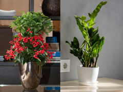 Ảnh bìa bài viết 945317