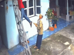 Ảnh bìa bài viết 945339