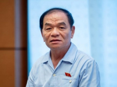 Ảnh bìa bài viết 945347