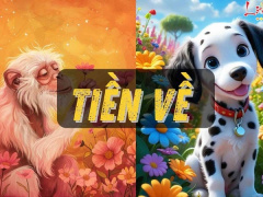 Ảnh bìa bài viết 945380