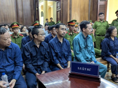 Ảnh bìa bài viết 945648