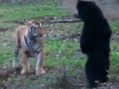 Ảnh bìa bài viết 945617