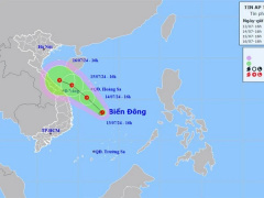 Ảnh bìa bài viết 945794