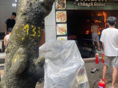 Ảnh bìa bài viết 946056