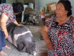 Ảnh bìa bài viết 945968