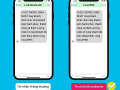 Ảnh bìa bài viết 946011