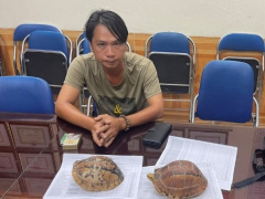 Ảnh bìa bài viết 946223