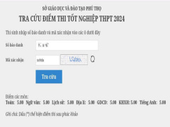 Ảnh bìa bài viết 946531