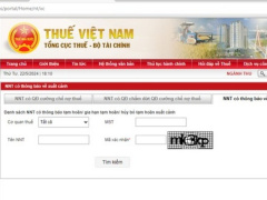 Ảnh bìa bài viết 946521