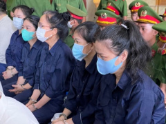 Ảnh bìa bài viết 946711