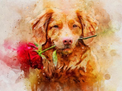 Ảnh bìa bài viết 946818