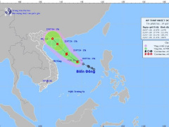 Ảnh bìa bài viết 946860