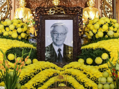 Ảnh bìa bài viết 947198