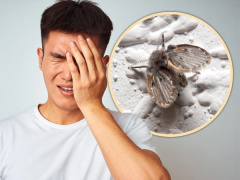 Ảnh bìa bài viết 947635