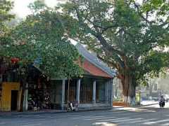 Ảnh bìa bài viết 947526