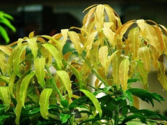 Ảnh bìa bài viết 947647