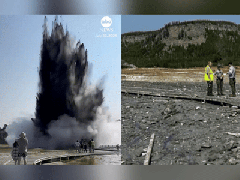 Ảnh bìa bài viết 947536