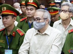 Ảnh bìa bài viết 947622
