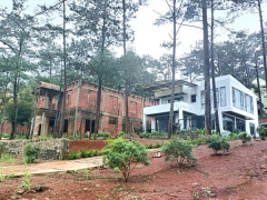 Ảnh bìa bài viết 948090