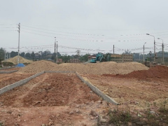 Ảnh bìa bài viết 948242
