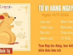 Ảnh bìa bài viết 948392